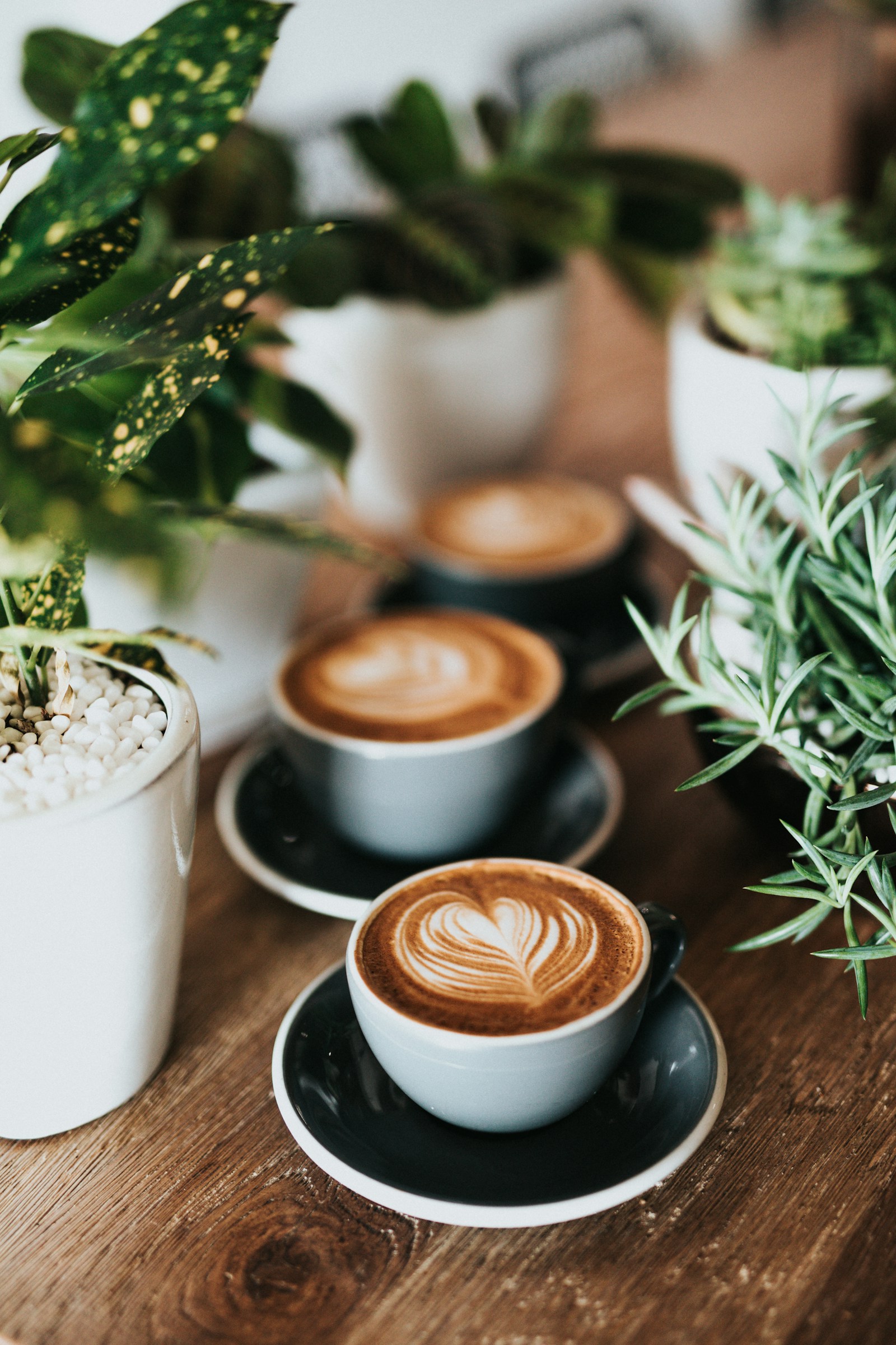 Filterkaffee wird langsam gebrüht — Barista-Handwerk bei HELLWACH